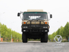 DONGGFENG EQ2102N Caminhão de carga off-road-veículo de carga deserto de 210hp na linha dupla | Modelo de exportação | Ar condicionado com lona