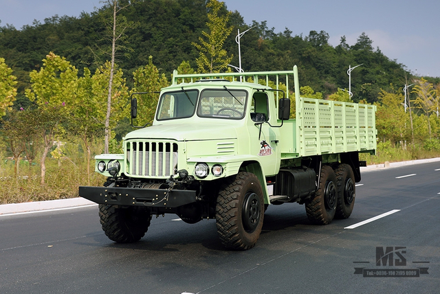 Dongfeng Six Wheel Drive EQ2100 Caminhão Off Road_190hp Dongfeng 3.5T Três Eixos Verde Menta Linha Única Cabeça Pontuda Caminhão AWD_Exportar Veículo para Fins Especiais 