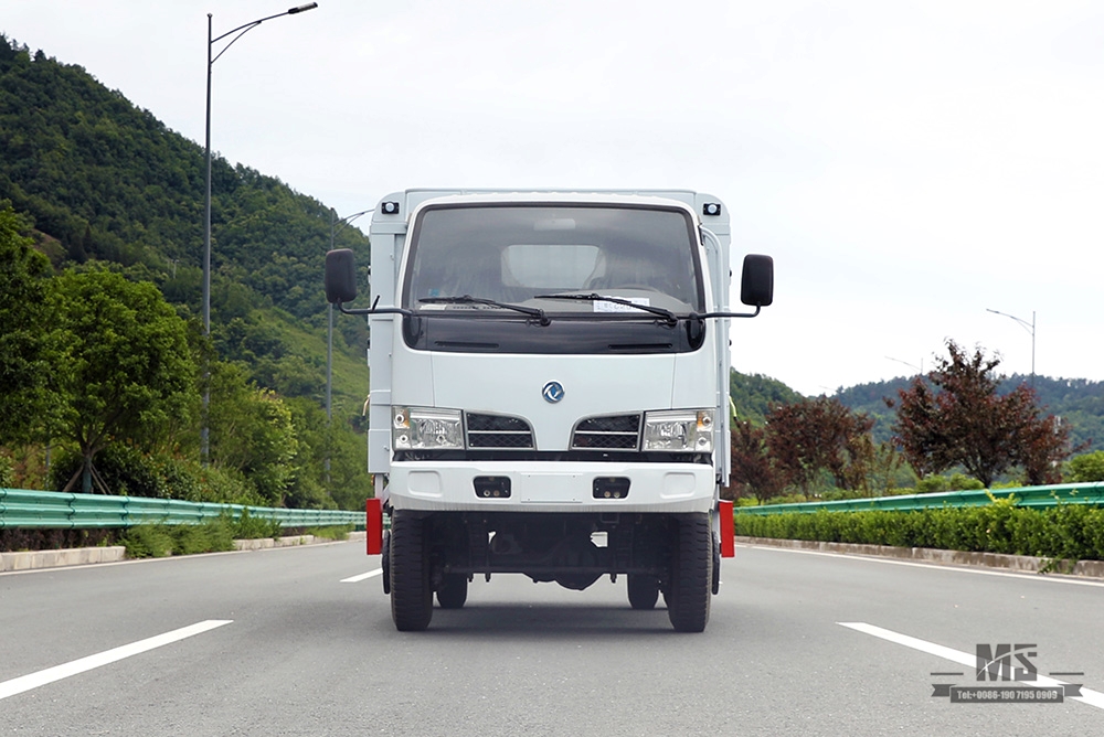 Dongfeng 4*4 caminhão leve caminhão de transporte de grelha _Dongfeng com tração nas quatro rodas caminhão de armazém de cabine de fileira única_caminhão de estaca para venda_exportar caminhão especial
