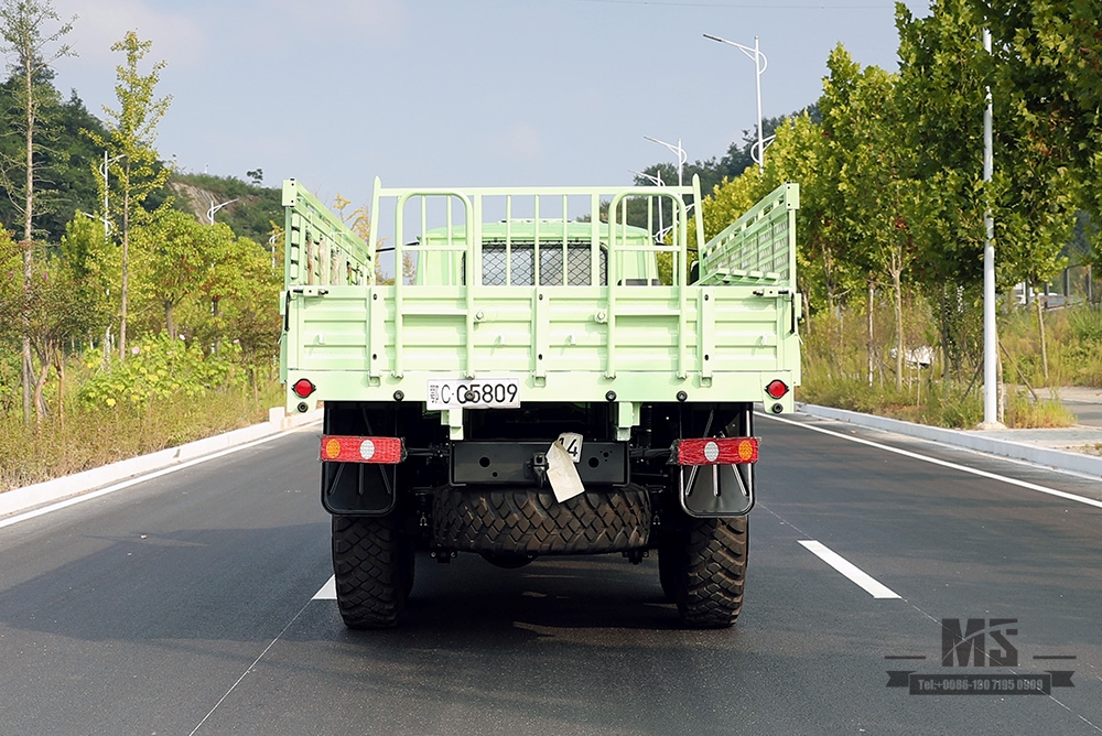 Mint Verde Dongfeng Caminhão Off Road com Tração de Seis Rodas_190hp Dongfeng EQ2100 Veículo de Transporte AWD de Cabeça Pontuda de Linha Única_Exportar Veículo para Fins Especiais 