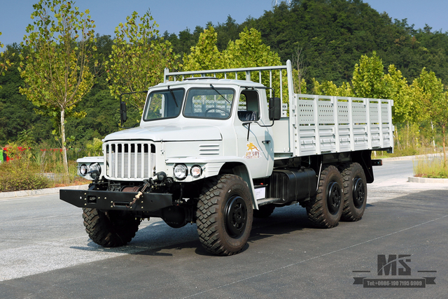 EQ2100 Caminhão Off Road Dongfeng com tração de seis rodas_6 * 6 Caminhão de carga de linha única com cabeça pontiaguda para venda_Exportação de veículo especial