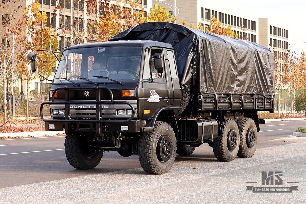 Caminhão off-road Dongfeng com tração nas seis rodas EQ2102_190 HP Caminhão de carga preto de três eixos com postes de lona_EQ2102G com tração nas quatro rodas Veículo para fins especiais de exportação