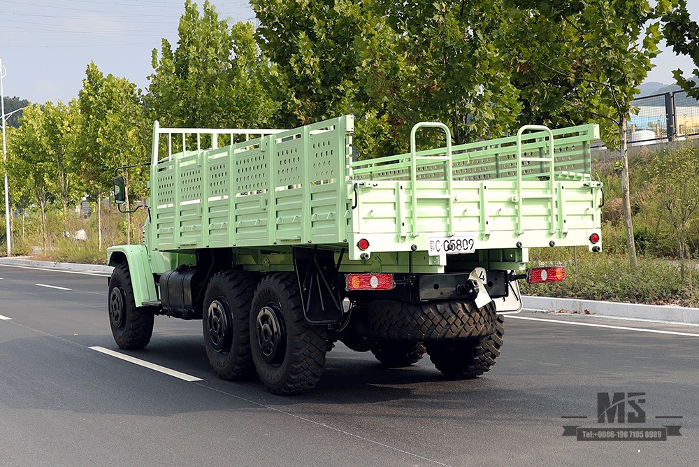 Mint Verde Dongfeng Caminhão Off Road com Tração de Seis Rodas_190hp Dongfeng EQ2100 Veículo de Transporte AWD de Cabeça Pontuda de Linha Única_Exportar Veículo para Fins Especiais 