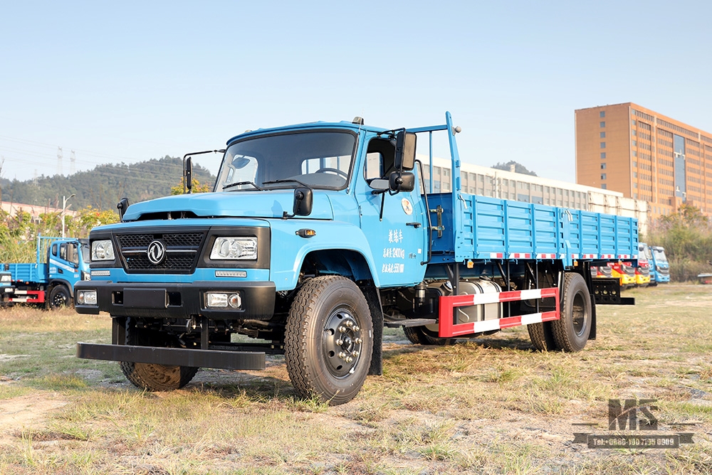 4 * 2 Dongfeng Long Head Coach Truck_4 × 2 EQ5121XLHL6D Cabeça pontiaguda Caminhão de fileira única A2 Training Truck_Driving School Exam Practice Veículo especial Exportação de veículo especial 