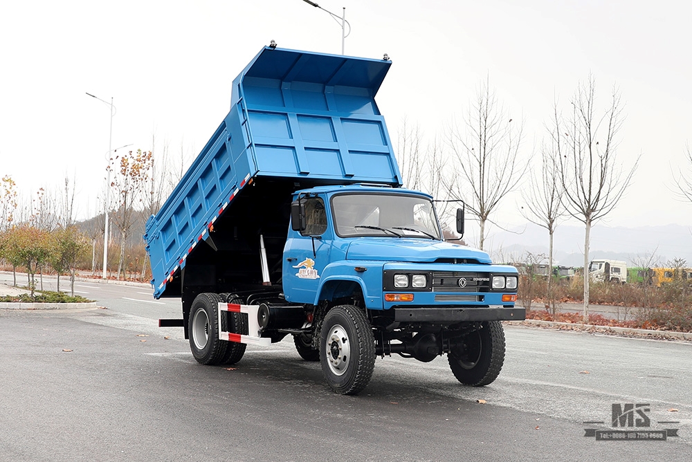 Caminhão basculante com tração nas quatro rodas Dongfeng _ 4WD 170hp Caminhão basculante off-road de cabeça longa _ 4*4 Exportação de veículo para fins especiais