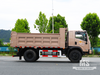 Caminhão basculante de cabeça chata com tração nas quatro rodas Dongfeng de 10 toneladas (170 HP) | Caminhões Especiais de Exportação 