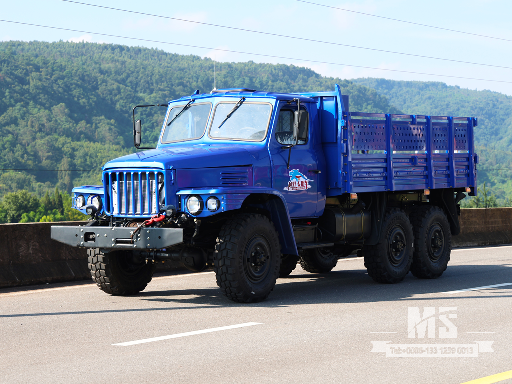 Caminhão de carga Dongfeng de 8 toneladas com tração de seis rodas somente para exportação equipado com motor de 170 HP