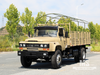 Caminhão off-road com cabine de ponta 4X2 de 10 toneladas (190 HP) | Veículo Dongfeng