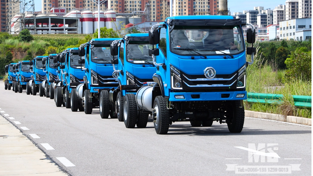 Entrega em massa! Chassi off-road de veículo especial off-road de Hubei 4 × 4 capacita o mercado de engenharia no exterior