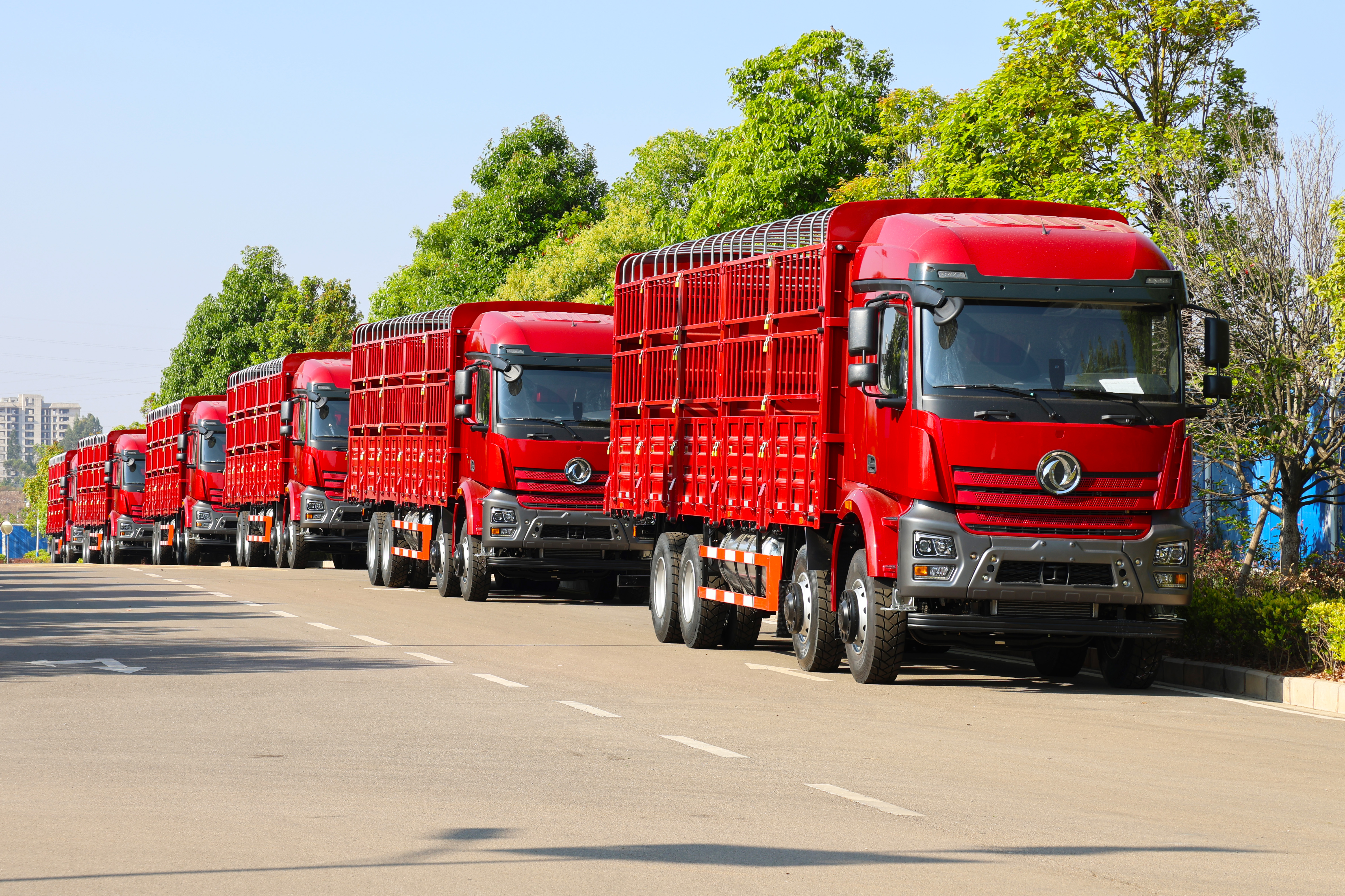 30 caminhões longos da gaiola da estaca da capa de Dongfeng 8X4 das unidades enviados para Myanmar