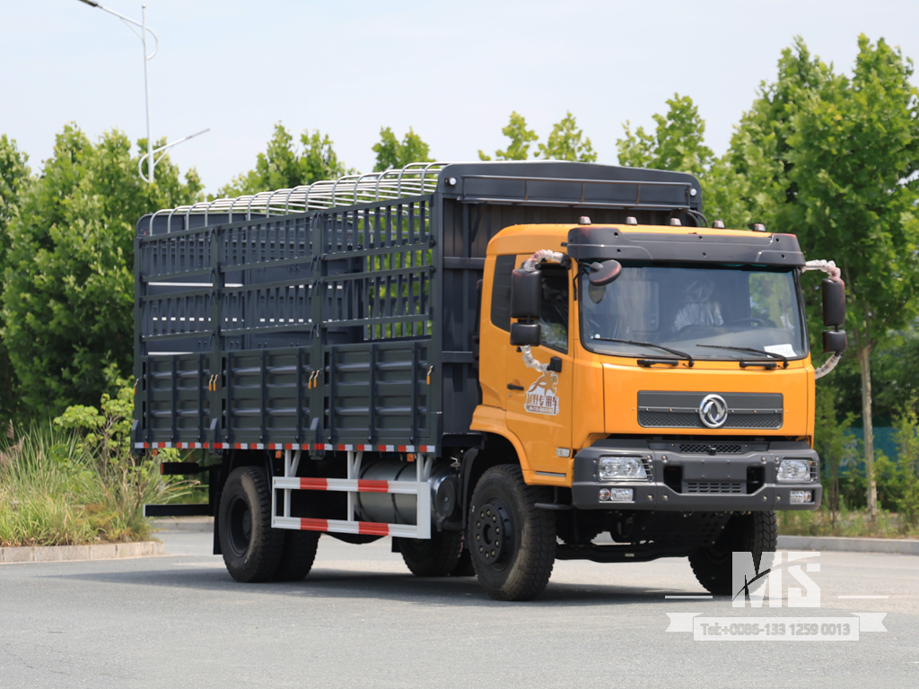 Caminhão basculante de transporte tipo caixa semi-cabine plana Dongfeng de 19 toneladas (260 HP) | Caminhões Especiais de Exportação 